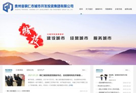 大方城市开发投资集团有限公司